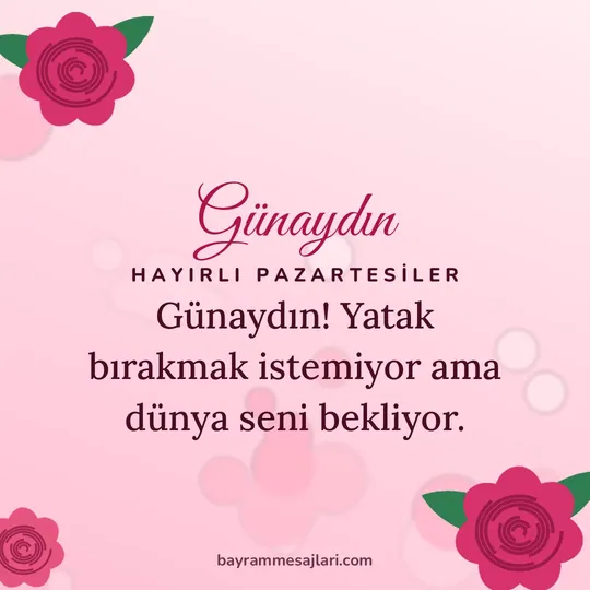 "Günaydın" yazılı resimli günaydın mesajı, pembe zemin üzerinde gül çizimleri: Günaydın! Yatak bırakmak istemiyor ama dünya seni bekliyor.